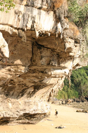 rock to climb on tonsai